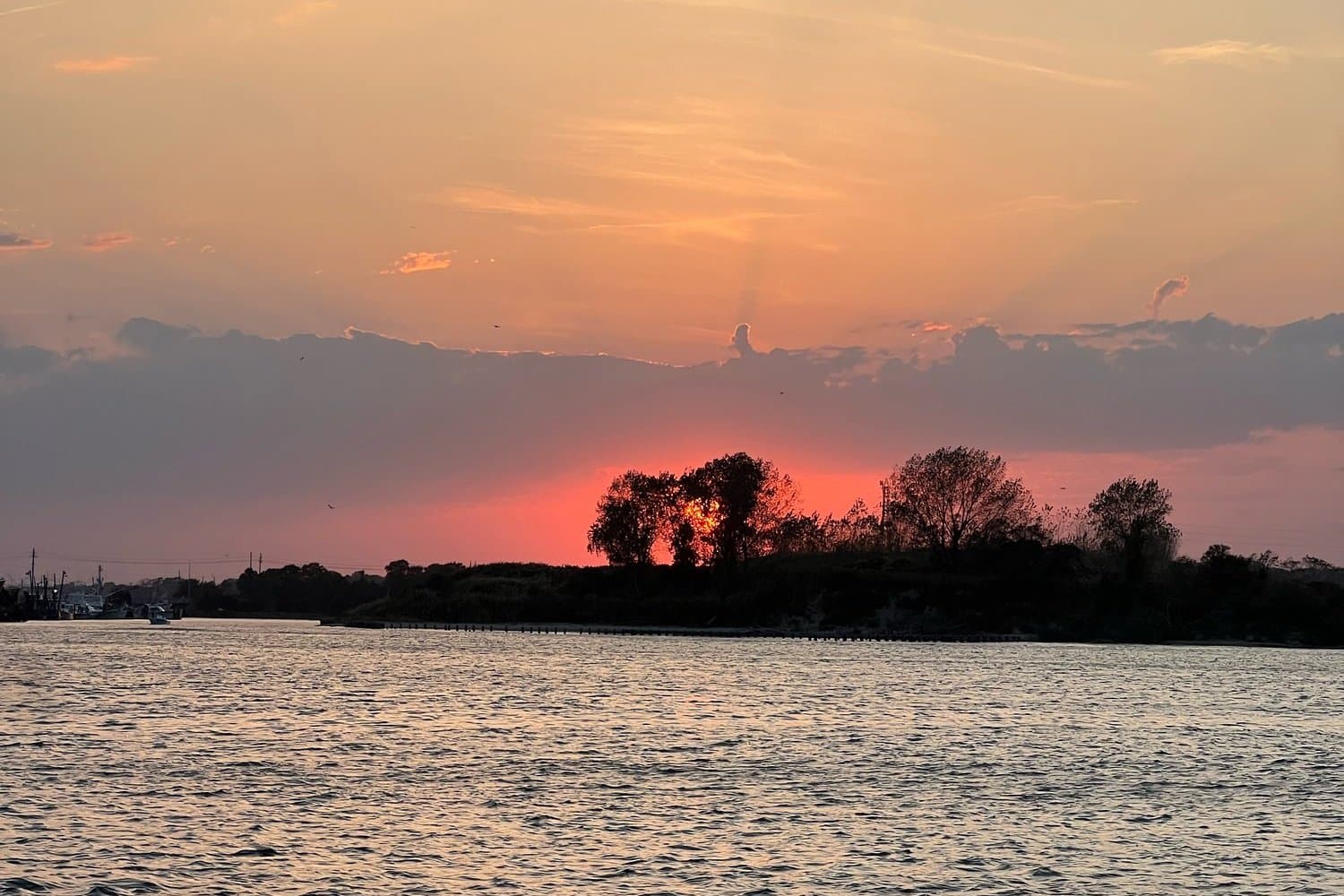 Sunset over the bay and a treeline
